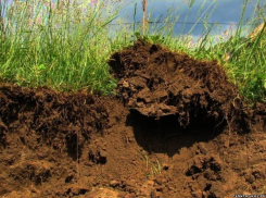 В Новоусманском районе предприимчивый делец незаконно разрабатывал карьер