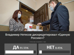 Прекратить травлю семьи «партийной маникюрши» призвала воронежская «Единая Россия»