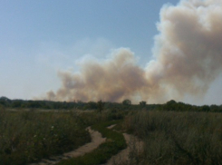 В Воронеже уже второй день тушат пожар на Авиадартсе (ФОТО)