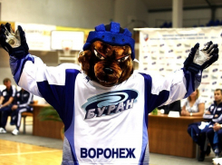 Болельщики воронежского «Бурана» написали открытое письмо губернатору Алексею Гордееву