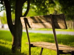 Какая погода ждет воронежцев на последней рабочей неделе мая