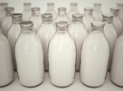 Россельхознадзор снял с реализации около 3 тонн молока с фермы Воронежской области 