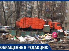 Мусорка воняет, разлагается, гниет, – жительница Воронежа о свалке во дворе