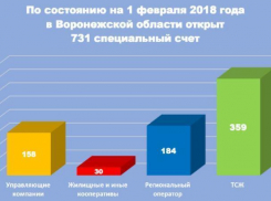 Инфографика: кому платят воронежцы за капремонт