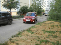 В Воронеже автовладельцы устраивают незаконные парковки на территории дубравы (ФОТО)