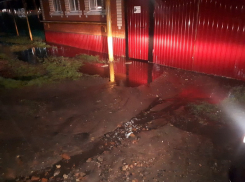 Хронические подтопления домов из-за новой улицы в Воронежской области показали общественники 