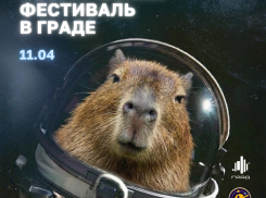 И снится нам не рокот космодрома… А большой праздник в Граде! 