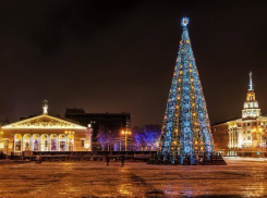 Опрос «Блокнот Воронеж»: в каком районе города самая лучшая новогодняя елка