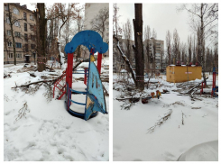 Хамское отношение к местным жителям наглядно показали в Воронеже