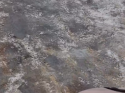 Мама с коляской наглядно показала трудности заледенелого Воронежа