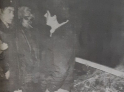 Облаву на елочных воров устраивала милиция на Новый 1993 год в Воронеже