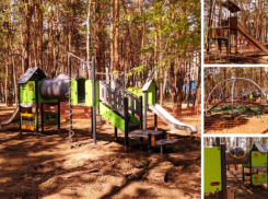 Детские комплексы из Чехии стали устанавливать в воронежском парке «Дельфин»