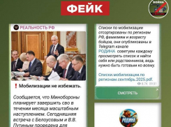 О фейке про мобилизацию рассказали воронежцам