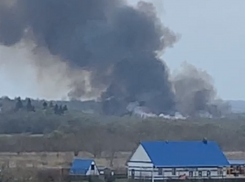 Стала известна причина появления столба дыма, напугавшего жителей Воронежа 