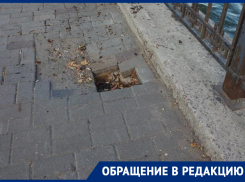 Состоянием набережной пристыдили коммунальщиков в Воронеже