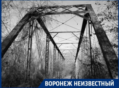Где в Воронеже располагался мост-призрак