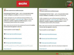 Фейк о мобилизации раскрыли в Воронежской области