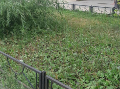 Опасную дорогу в светлое будущее показали у воронежского сквера Молодоженов