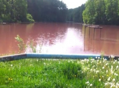 Специалисты рассказали, почему вода в воронежском озере стала розовой
