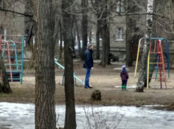 На юго-западе Воронежа коммунальщики убрали двор, превратившийся в свалку