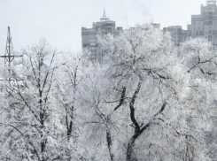 Стали известны суммы штрафов, которые воронежские УК получили за бездействие во время снегопадов 