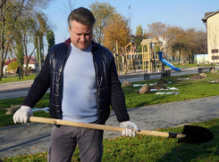 Воронежцам разрешат принимать участие в субботниках впервые за два года