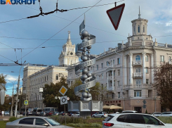 Что в Воронеже дорожает быстрее, чем в других городах, показала статистика