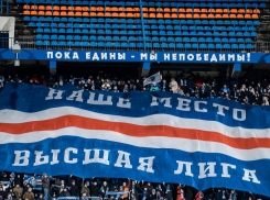 Бесплатный проезд на матч со «Спартаком» пообещали болельщикам воронежского «Факела»