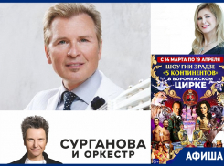 Куда сходить в Воронеже: «Сурганова и оркестр», Вика Цыганова, Александр Малинин 
