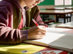 Домашнее задание по литературе со словами-украинизмами удивило воронежца 