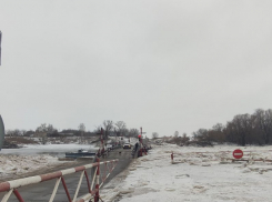 Воронежец предрек новое закрытие понтонного моста между Шиловом и Гремячьим