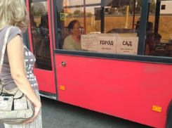 Нелепые ошибки превратили в деревни центральные улицы Воронежа