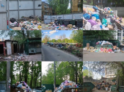 Читатели завалили редакцию «Блокнот Воронеж» сообщениями о замусоренном городе