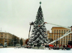 Стало известно, когда откроют главную елку Воронежа