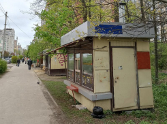 «Это борьба напоминает цирк», – жительница Воронежа рассказала о кочующих по кругу ларьках и киосках