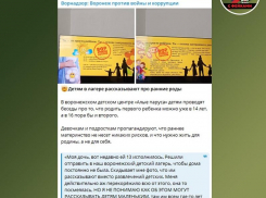 Советы воронежского лагеря рожать детей в 14 и 16 лет признали фейком
