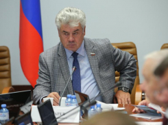 Воронежский генерал-полковник заявил, что Турция превращается в недружественную страну 