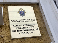 Госслужащую и её подругу уличили в присвоении земли на 2 млн рублей в Воронеже