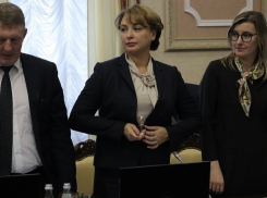 Никто не хочет браться за предпринимателей в воронежском правительстве