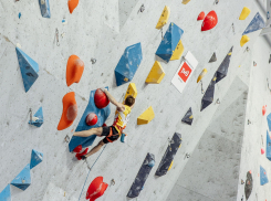 Спортивная афиша Воронежской области на выходные 25-26 марта от «Блокнота»