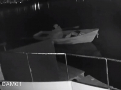 Наглого вора на лодочной пристани записала камера у ж/д-моста в Воронеже