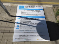 В центре Воронежа установят еще 350 парковочных табло