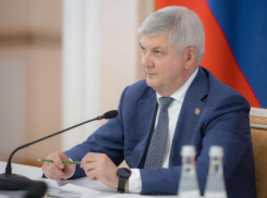 «Интересный диалог с большой страной», – воронежский губернатор Гусев прокомментировал прямую линию президента Владимира Путина