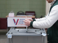 Всего 1,5 % избирателей могли изменить судьбу Воронежа в 2020 году