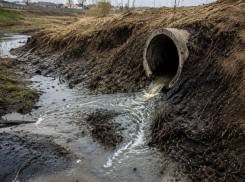 За ущерб почвам воронежское предприятие обязали выплатить 11,5 млн рублей
