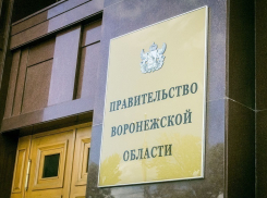 Михаила Найчука возвращают в департамент Воронежского правительства на радость контролёрам 