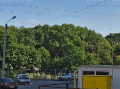 Воронежские власти рассказали о предложениях благоустроить Центральный парк