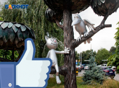 Как в Сети издеваются над Воронежем мемами 