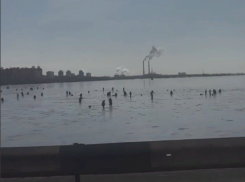Огромное количество рыбаков показали на воронежском водохранилище