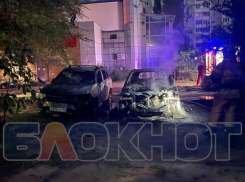Две иномарки уничтожены и четыре авто пострадали: стали известны подробности ночного пожара в Воронеже 